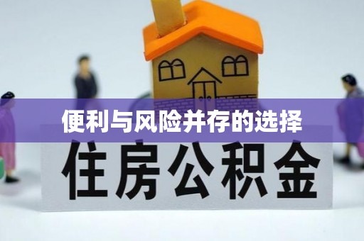 克孜勒苏柯尔克孜便利与风险并存的选择