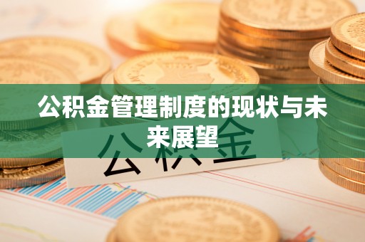 克孜勒苏柯尔克孜公积金管理制度的现状与未来展望
