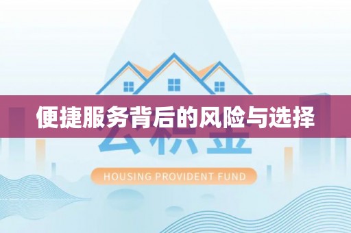 克孜勒苏柯尔克孜便捷服务背后的风险与选择