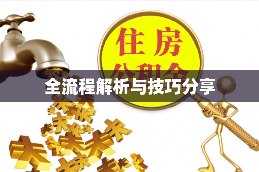 克孜勒苏柯尔克孜全流程解析与技巧分享