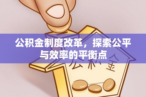 克孜勒苏柯尔克孜公积金制度改革，探索公平与效率的平衡点